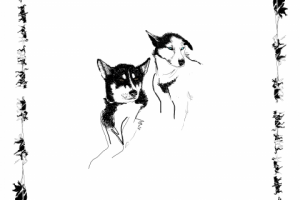 разработка и отрисовка принта для банданы на графическом планшет