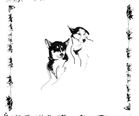 img3564353.png