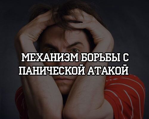 img3938099.png