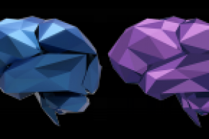 Картинку на сайт