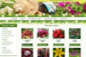 Дизайн для интернет-магазина саженцев