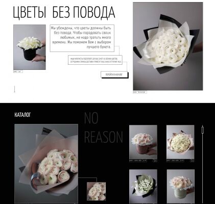 img4198620.png