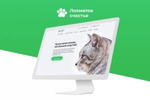 Лохматое счастье | Приют для животных