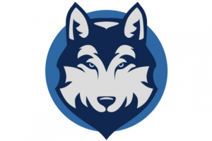 Работа 3375478