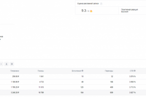 Стоимость подписчика - 17,6 рублей