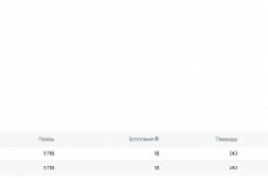 Стоимость подписчика -  9.88 рублей