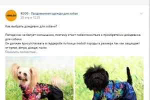 Статистика продающего поста