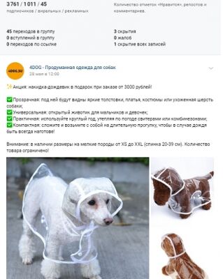 img3913355.png