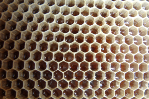 пчелиный соты