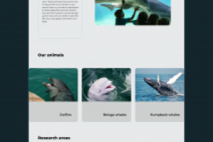 Дизайн сайта