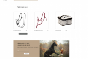 Дизайн интернет магазина