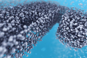 Poliplex Presentation