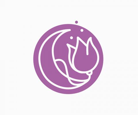 img3828748.png