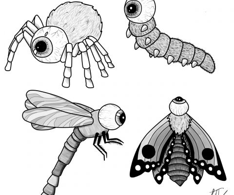 img4200246.png