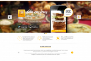CleverBag