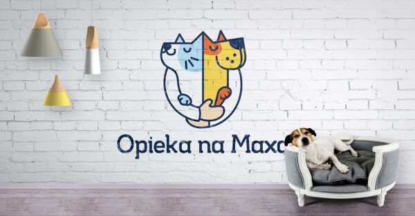 img3476781.png