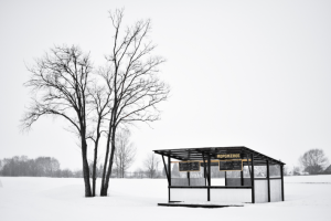 Пример постановочной, репортажной или художественной фотографии