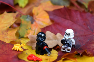 Пример постановочной, репортажной или художественной фотографии