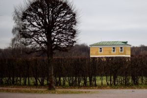 Пример постановочной, репортажной или художественной фотографии
