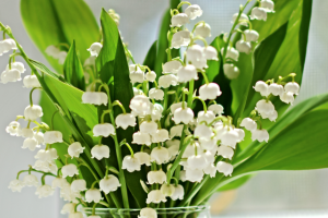 Пример постановочной, репортажной или художественной фотографии