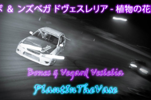 Примеры видеомонтажа