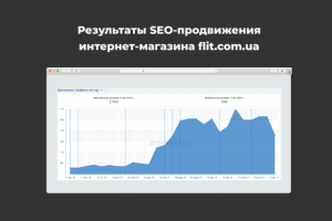 Интернет-магазин женской одежды и обуви «Flit»