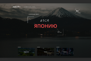 Мега-тур по Японии