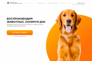 Лэндинг по воспроизведению жифотных