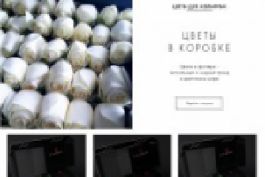 Разработка дизайна для цветочного магазина EvaRose