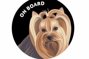 Йоркширский терьер