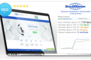 СЕО продвижение интернет-магазина ENDOUNION