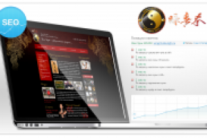 SEO Оптимизация и продвижение школы боевых искусств