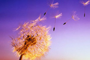 Интернет-магазин по продаже вентиляций