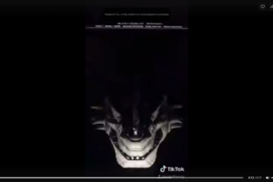 Работа 4164512