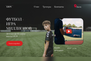 Футбольная школа Lions