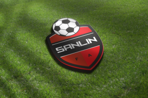 logo sanlin