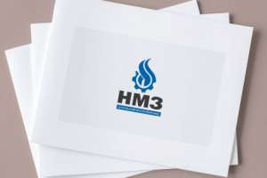НМЗ