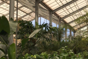 Фотографии