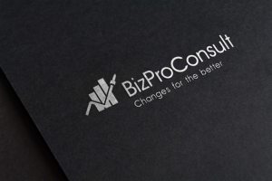 BizProConsult