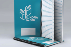 Школа №508