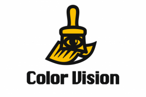 Color vision