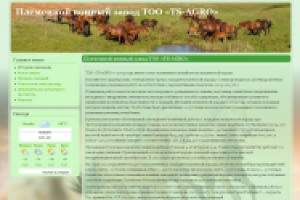 Племенной конный завод ТОО «TS-AGRO»