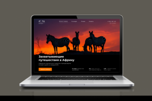 Путешествие по Африке