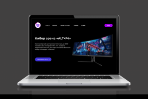 Кибер арена