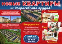 img3008183.png
