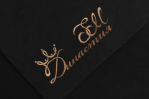 Логотип для организатора свадеб