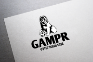 Логотип для юниорской футбольной школы