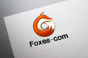 логотип сервиса по установке видеонаблюд. и охр. систем