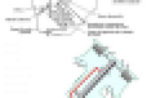 JPEG -> Вектор ->Раскраска