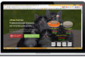 Landing page для продажи игрушки для кошек под ключ